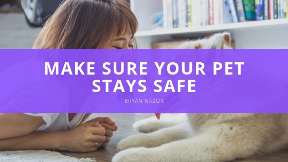 Bryan Nazor Make Sure Your Pet Stays Safe