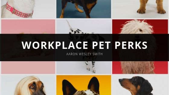 Aaron Wesley Smith Workplace Pet Perks