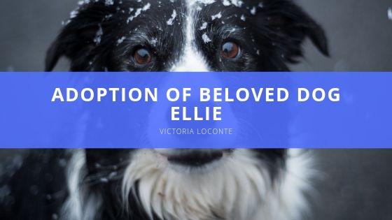 Victoria Loconte Adoption of Beloved Dog Ellie
