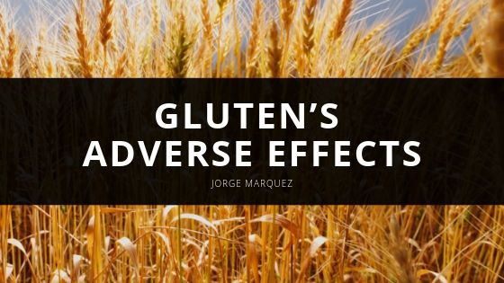 Jorge Marquez Gluten’s Adverse Effects
