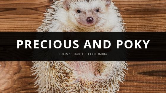 Thomas Harford Columbia Precious and Poky