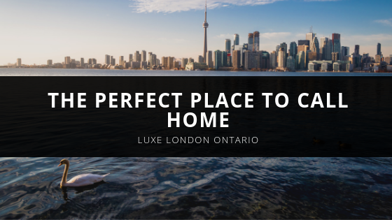 Luxe London Ontario LUXE LONDON THE PERFECT PLACE TO CALL HOME