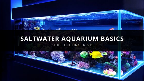 Chris Endfinger MD Explains Saltwater Aquarium Basics