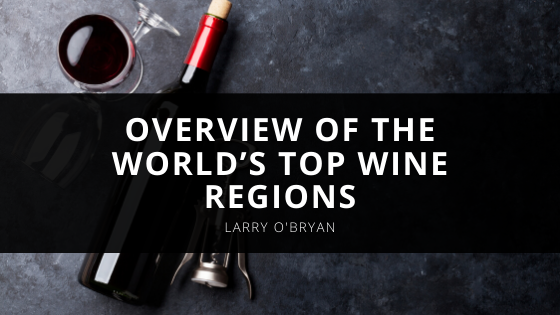James Lukezic a Sommelier Offers an Overview of the World’s Top Wine Regions