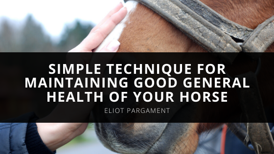 Eliot Pargament Provides a Simple Technique for Maintaining Good General Health of Your Horse