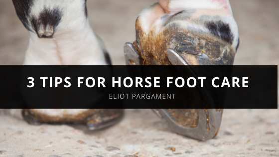 Eliot Pargament’s Tips for Horse Foot Care